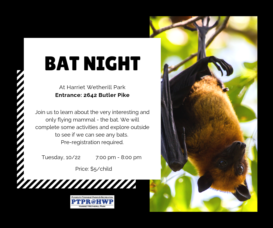 Bat Night @ Harriet Wetherill Park